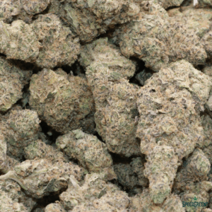 GHOST TRAIN HAZE Top Shelf | by SPEED SPECIAL ® - Image 3