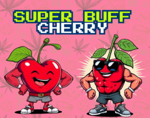 SUPER BUFF CHERRY Organic Cold Cured | by Frost Factory® - Image 4