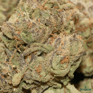 STRAWBERRY COUGH Top Shelf | by SPEED SPECIAL ® - Image 3