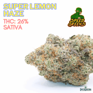 SUPER LEMON HAZE Top Shelf | by SPEED SPECIAL ®