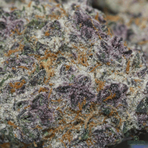 super buff cherry top shelf weed strain