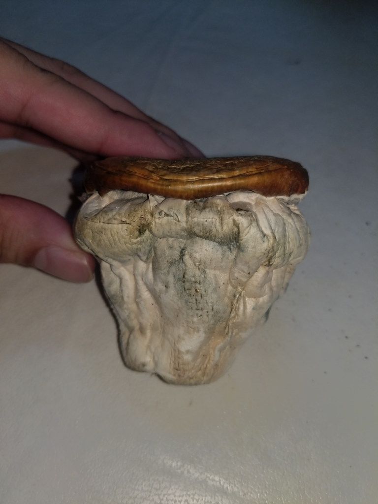 Image #1 from MrFunGuy