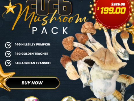 2026 Mushroom Pack with HillyBilly Pumpkin, Golden Teacher, African Transkei, Great White Monster and house strain magic mushrooms $199 blowout.