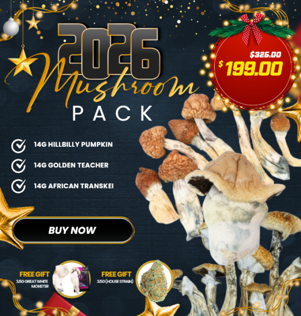 2026 Mushroom Pack with HillyBilly Pumpkin, Golden Teacher, African Transkei, Great White Monster and house strain magic mushrooms $199 blowout.