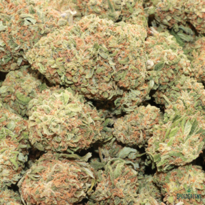 GORILLA GLUE | $49/Oz | By SPEED SPECIAL ® - Image 4