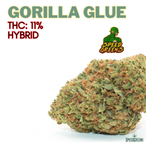 GORILLA GLUE | $49/Oz | By SPEED SPECIAL ®