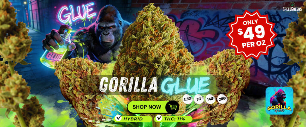 Gorilla Glue strain known for anti-inflammatory properties