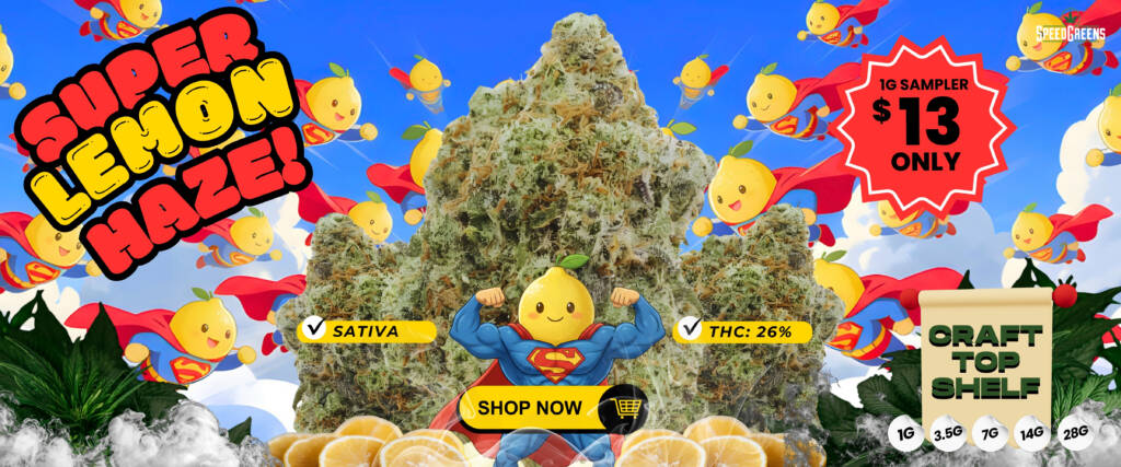 Super Lemon Haze strain known for mood elevation properties