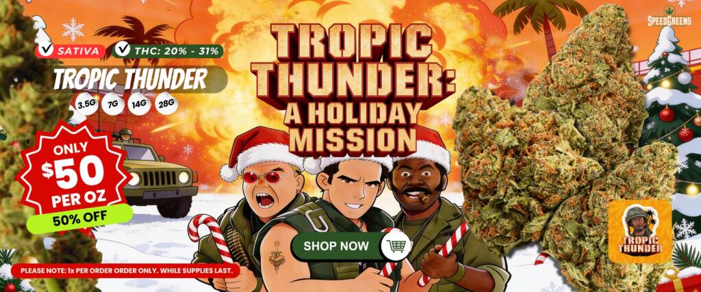 TROPIC THUNDER A HOLIDAY MISSION