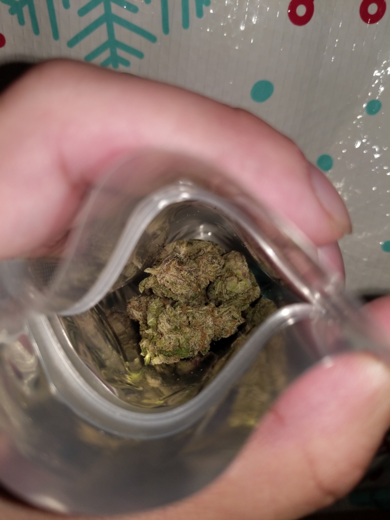 Image #2 from Kinzey McK