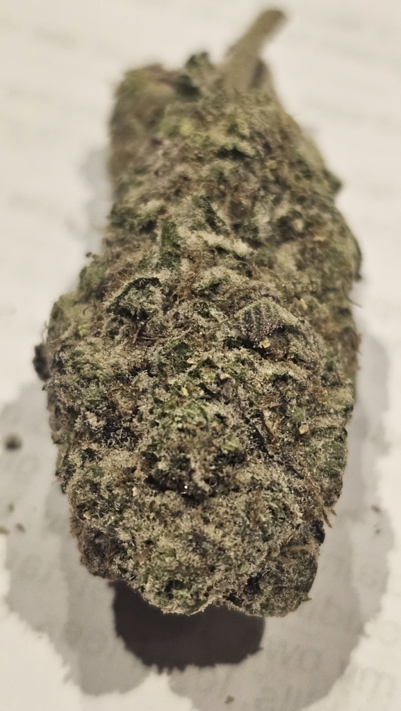 Image #3 from Scott R