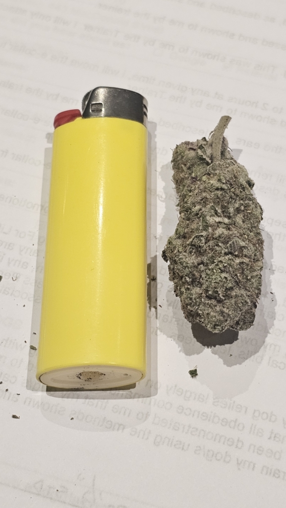 Image #4 from Scott R