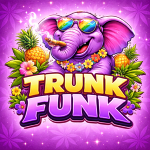 NEXT LEVEL – Disposable TERP SAUCE Vape (1g THC) - Image 3