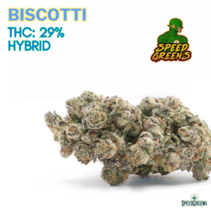 BISCOTTI Top Shelf | by SPEED SPECIAL ®