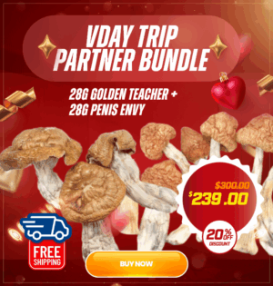 VDay trip partner bundle featuring 28g Golden Teacher and 28g Penis Envy magic mushrooms for Valentine's Day couples