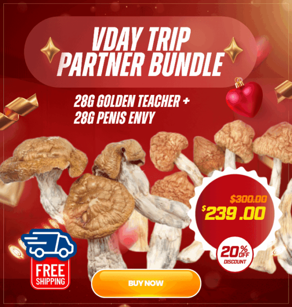 VDay trip partner bundle featuring 28g Golden Teacher and 28g Penis Envy magic mushrooms for Valentine's Day couples