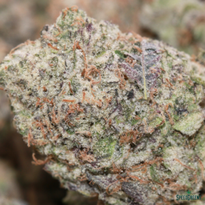 GHOST TRAIN HAZE Organic Cold Cured | by BUDDHA BOYS® - Image 3