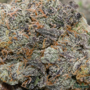 LEMON CHERRY GELATO Organic Cold Cured | by Frost Factory® - Image 3