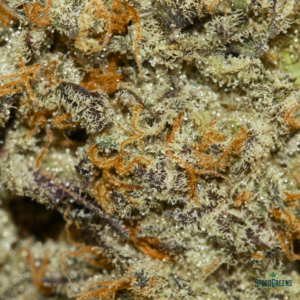 PINK DIABLO Organic Cold Cured | By Frost Factory ® - Image 3