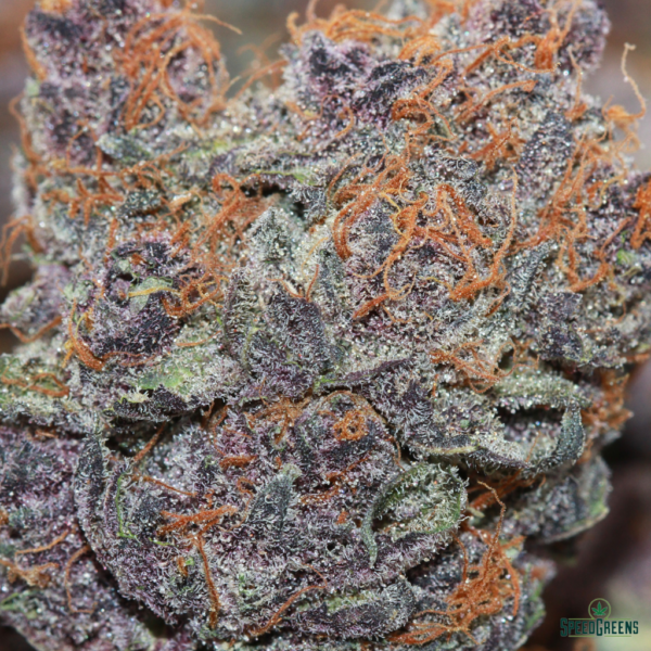 Permanent Marker Macro