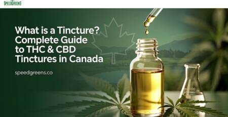 What is a tincture