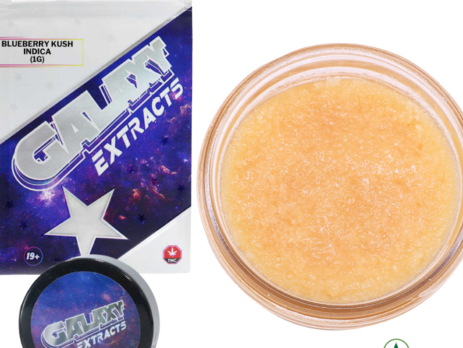 Blueberry Kush live resin concentrate by Galaxy Extracts showing premium indica extract with 24% THC in glass jar