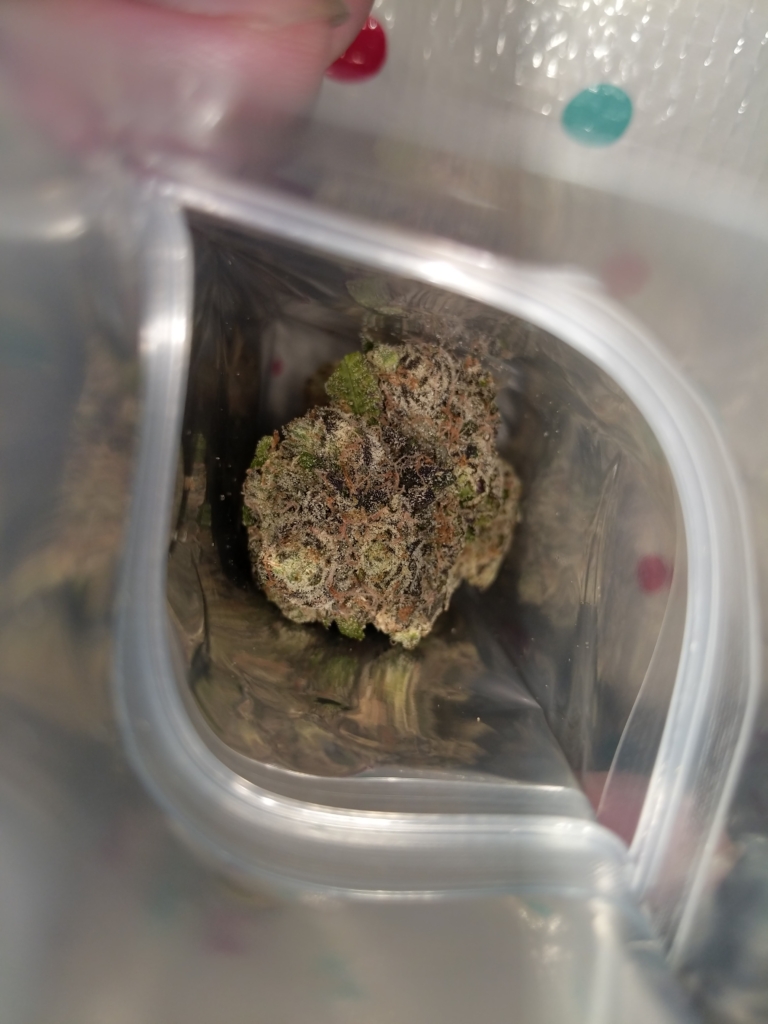 Image #2 from Kinzey McK