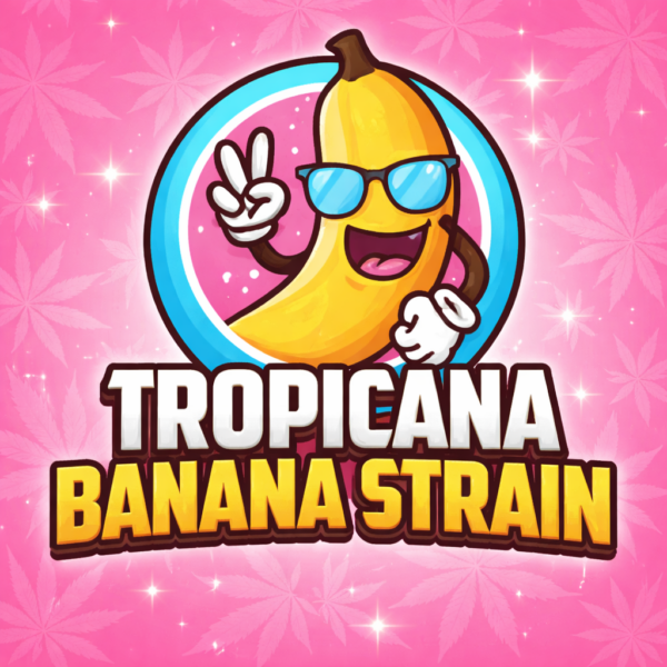 17a72066 4ae3 4bbb abc7 e80a9f3fb60c