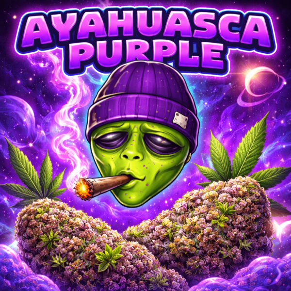 6e5f597f 216b 4c1b b2ac d8cd1ddaa9c9