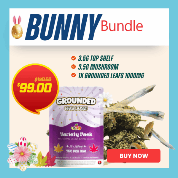 Bunny Bundle Easter Deal – Weed, Mushrooms & Edible Bunny Bundle Easter Deal – Weed, Mushrooms & Edible