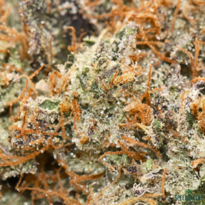 UNICORN POOP Organic Cold Cured | By Frost Factory® - Image 4