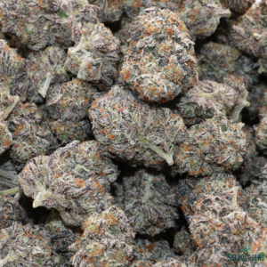 FROSTED FIGHT CLUB Organic Cold Cured | Frost Factory ® - Image 2