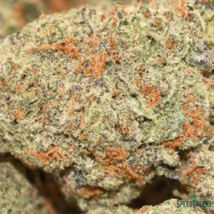 GUAVA | by Buddha Boys ® - Image 3