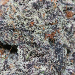 PURPLE AYAHUASCA Organic Cold Cured | by Frost Factory® - Image 4