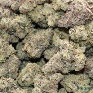 STRIPPER GLITTER | Buddha Boys ® - Image 3