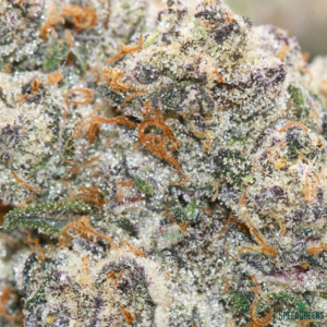 TROPICANA BANANA Organic Flower SATIVA | By Frost Factory ® - Image 4