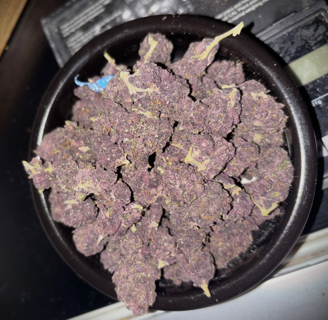 Image #1 from Melanie_ca