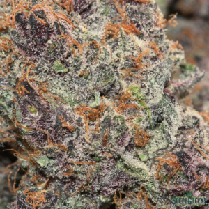 TROPICAL CHERRY Organic Flower SATIVA | Buddha Boys ® - Image 4