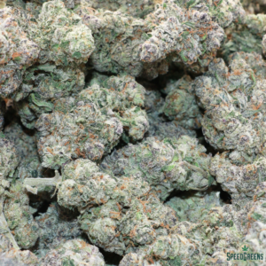 TROPICANA BANANA Organic Flower SATIVA | By Frost Factory ® - Image 3