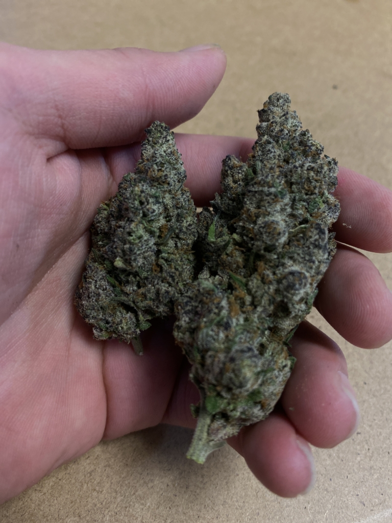 Image #1 from Jim halpert