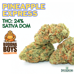 Pineapple Express Organic Flower SATIVA | Buddha Boys ®