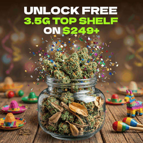 MDAY FREE GIFT