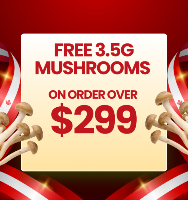 420 starter bundle – 187
