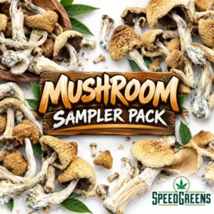 Mushroom Sampler Combo Pack (3 x 3.5g) - Magic Mushrooms