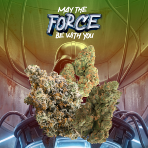 FREE GIFT STAR WARS PROMO