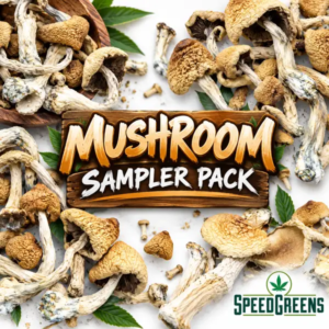 Mushroom Sampler Combo Pack (3 x 3.5g) - Magic Mushrooms