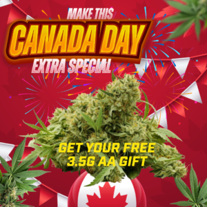 Canada Day Free Gift