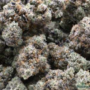 PINK DIABLO Organic Flower INDICA | Buddha Boys ® - Image 3
