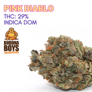 PINK DIABLO Organic Flower INDICA | Buddha Boys ®