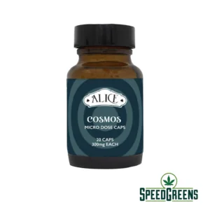 ALICE | Microdose Shroom Capsules – COSMOS (6000mg Golden Teacher)